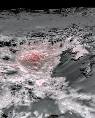 An image built on data gathered by NASA's Dawn spacecraft shows briny deposits colored reddish against Occator Crater on Ceres.