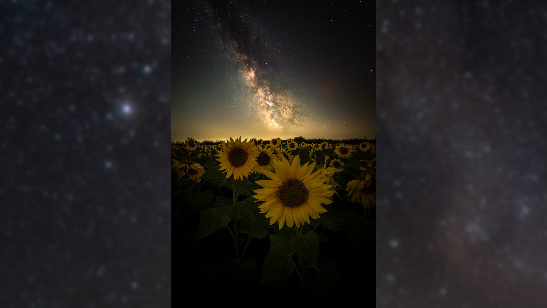 milky way above a sunflower field