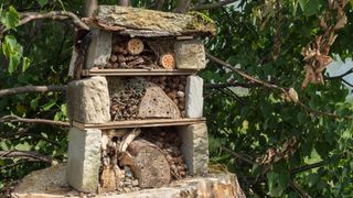 Bug hotel