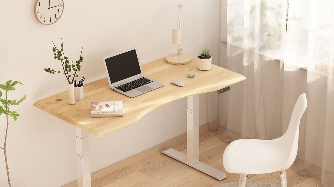 Flexispot Adjustable Standing Desk Pro E7 in situ