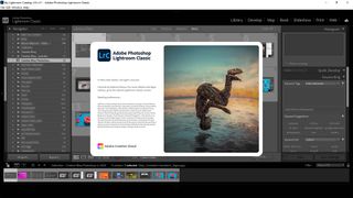 Screenshot of Lightroom Classic