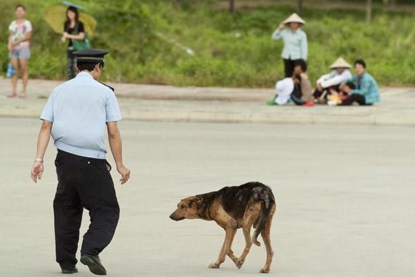 A member of the Chinese police force tries to escort a stray dog from the race route.