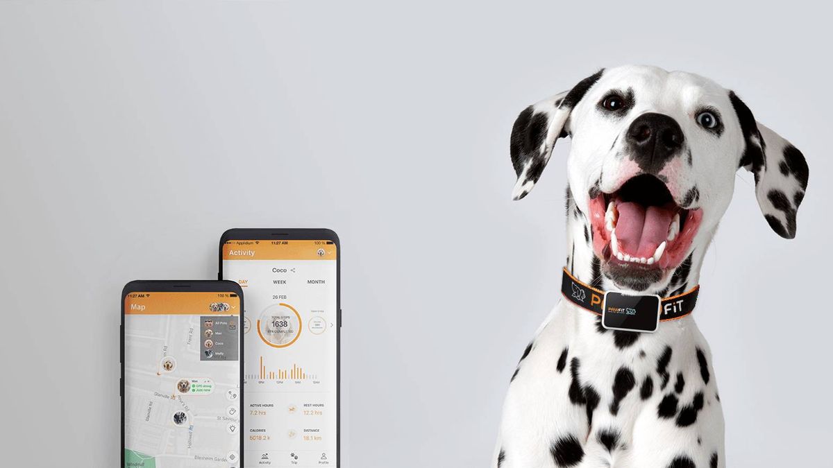 Pawfit 2