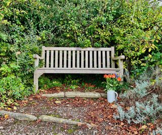 aged wooden bench in garden with plants and watering can