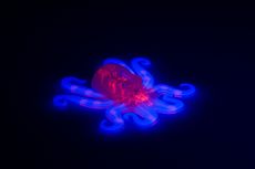 Octobot Soft Robot