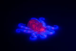 Octobot Soft Robot