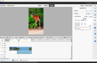 Screenshot of auto-framing in Adobe Premiere Elements video editing software