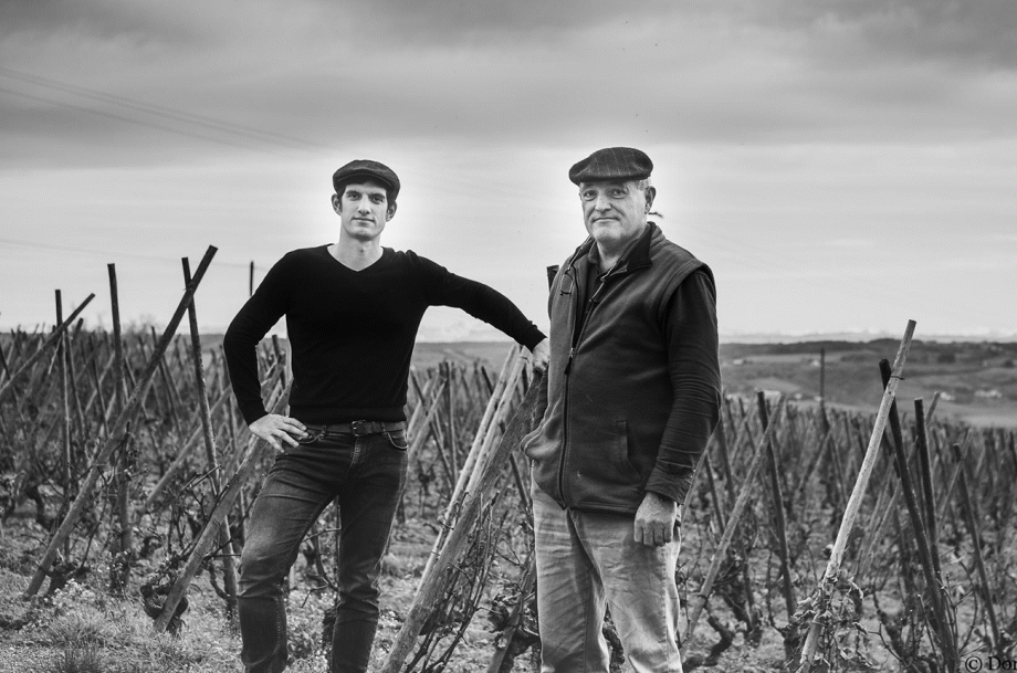 Pierre and Bernard in the vines of Domaine Burgaud