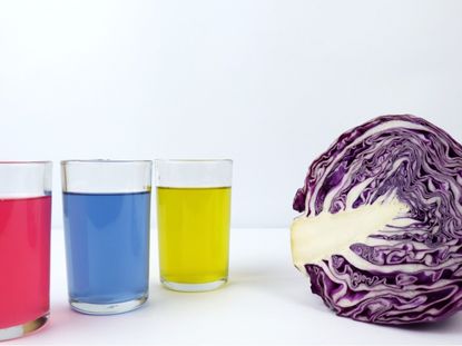 Half a head of red cabbage next to glasses of red, blue, and yellow water