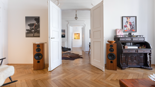 Living area with chevron-style wooden floor boards