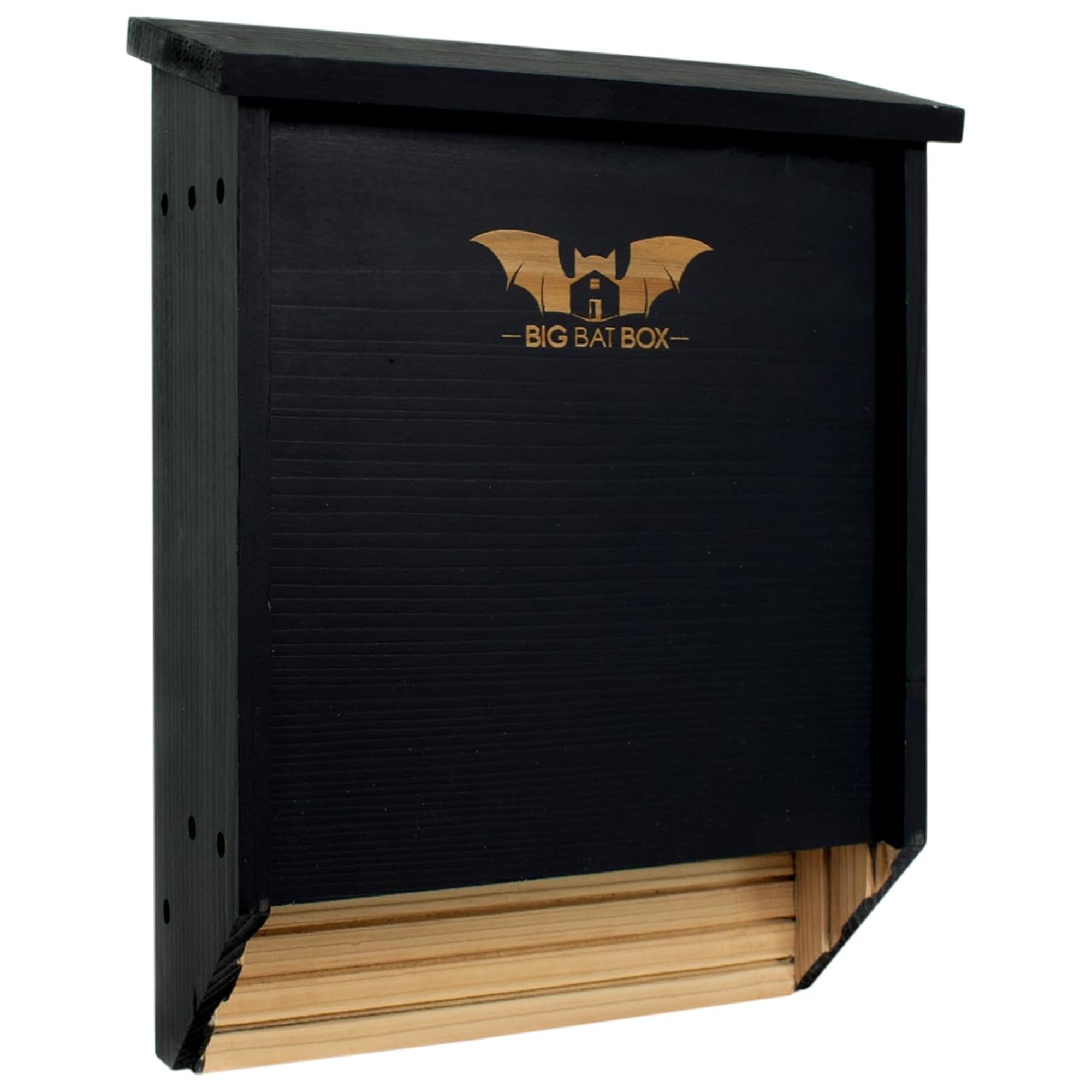 Black big bat box