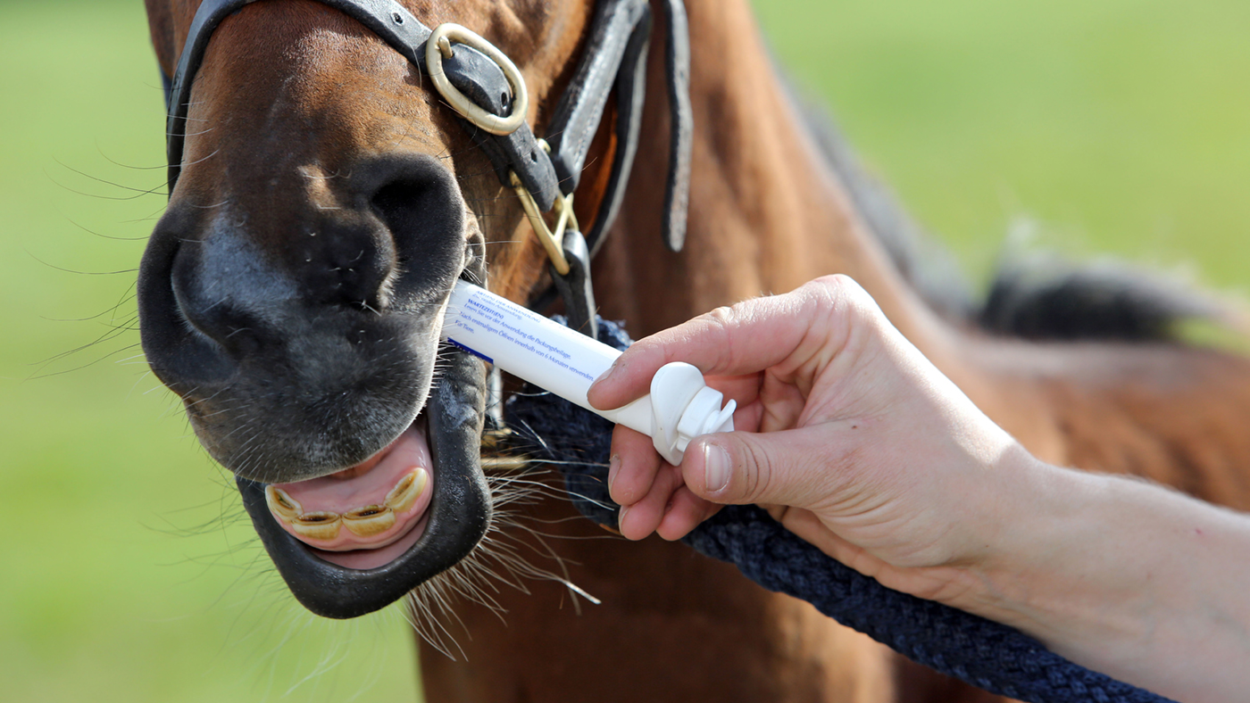 alamy-worming-D2BH4D_262656382_439665601.jpg