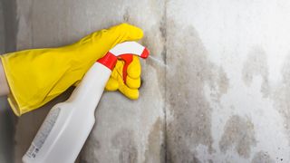 person spraying bug treatment on walls in house