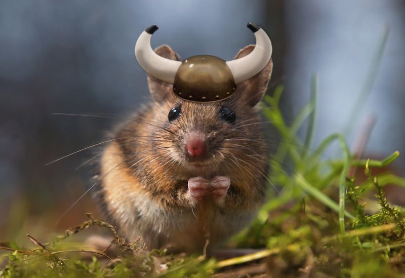 A mouse wearing a viking hat. 