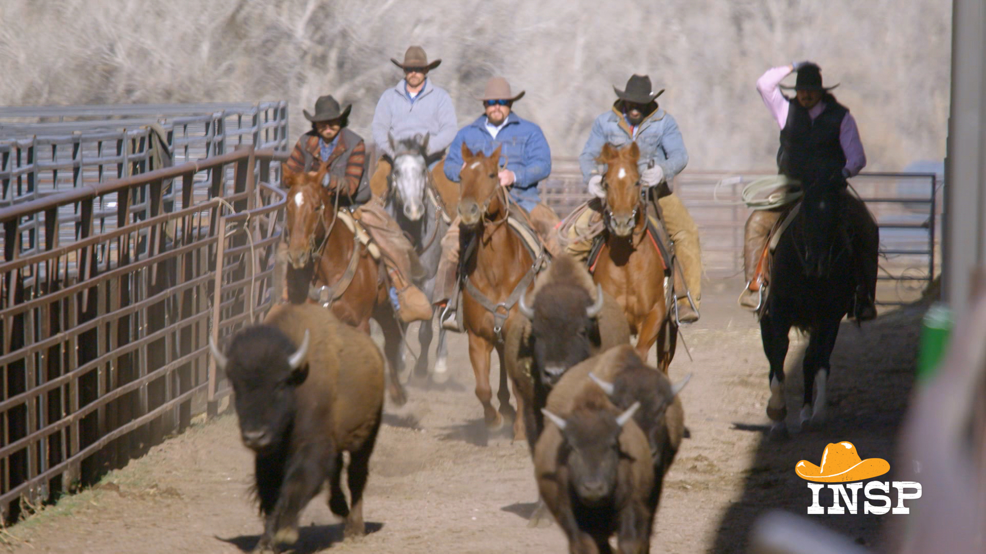 Watch Ultimate Cowboy Showdown Streaming Online