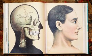 an illustration of a mans face and skull in John Derian’s Picture Book
