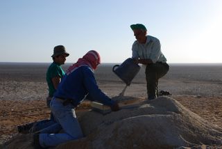 Researchers sieve through sediment in search of pterosaur fossils in Jordan.