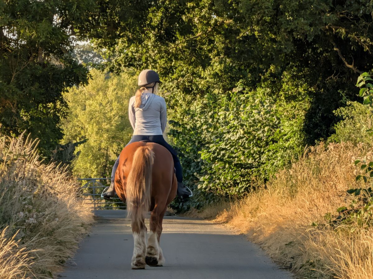 Horse rider wearing a helmet riding a brown horse along a narrow country lane in warm evening sunlight.