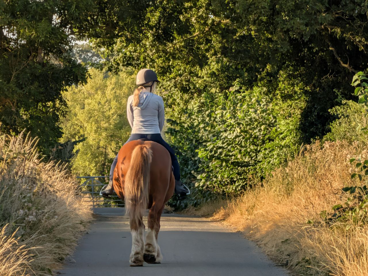 Horse rider wearing a helmet riding a brown horse along a narrow country lane in warm evening sunlight.