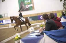 Dressage winter championships