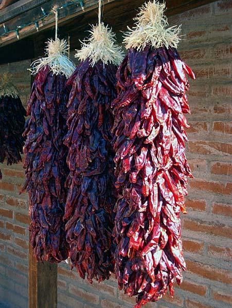 Chiles hang outside of a restaurant in downtown Tucson.