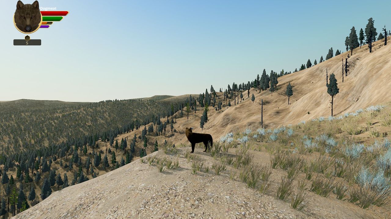WolfQuest wolf simulation game