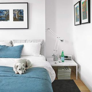 bedroom with double bed and dog