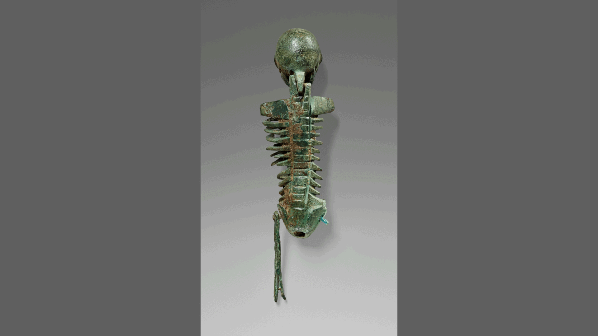 a bronze human skeleton that rotates to show four sides