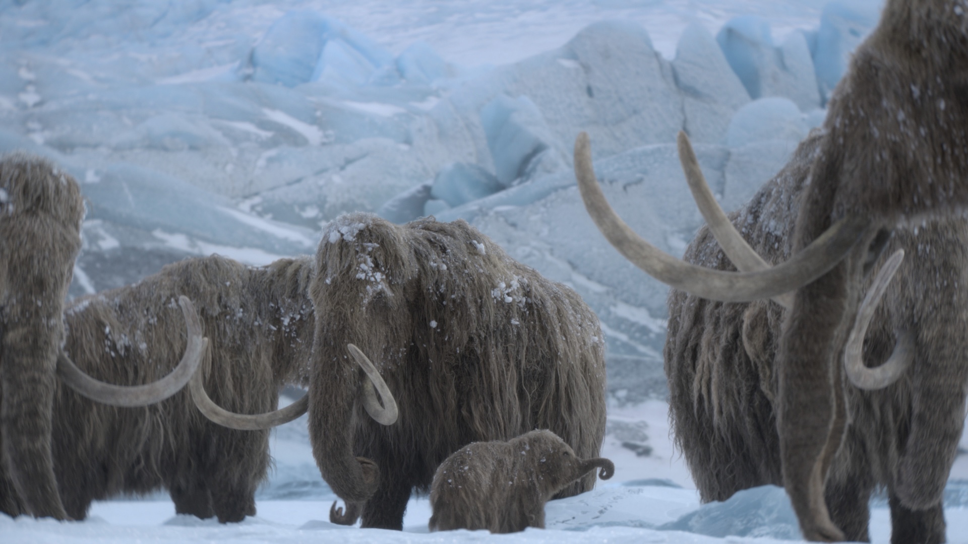 Stills from the natural history show Prehistoric Planet: Ice Age