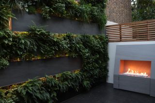 Transform your living wall into a work of art in this vertical gardening design