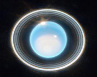 closeup photo of five distinct rings around the blue planet uranus.