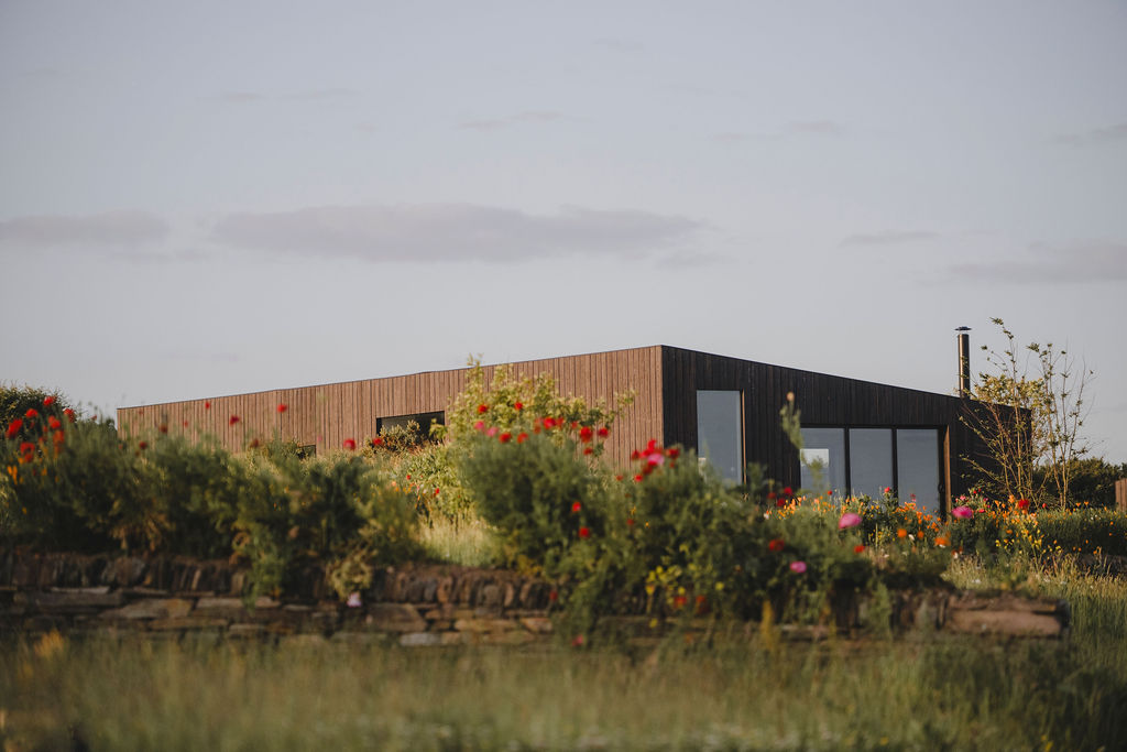 Cornish eco-cabin site by Darren Hawkes, leafy flowering meadow