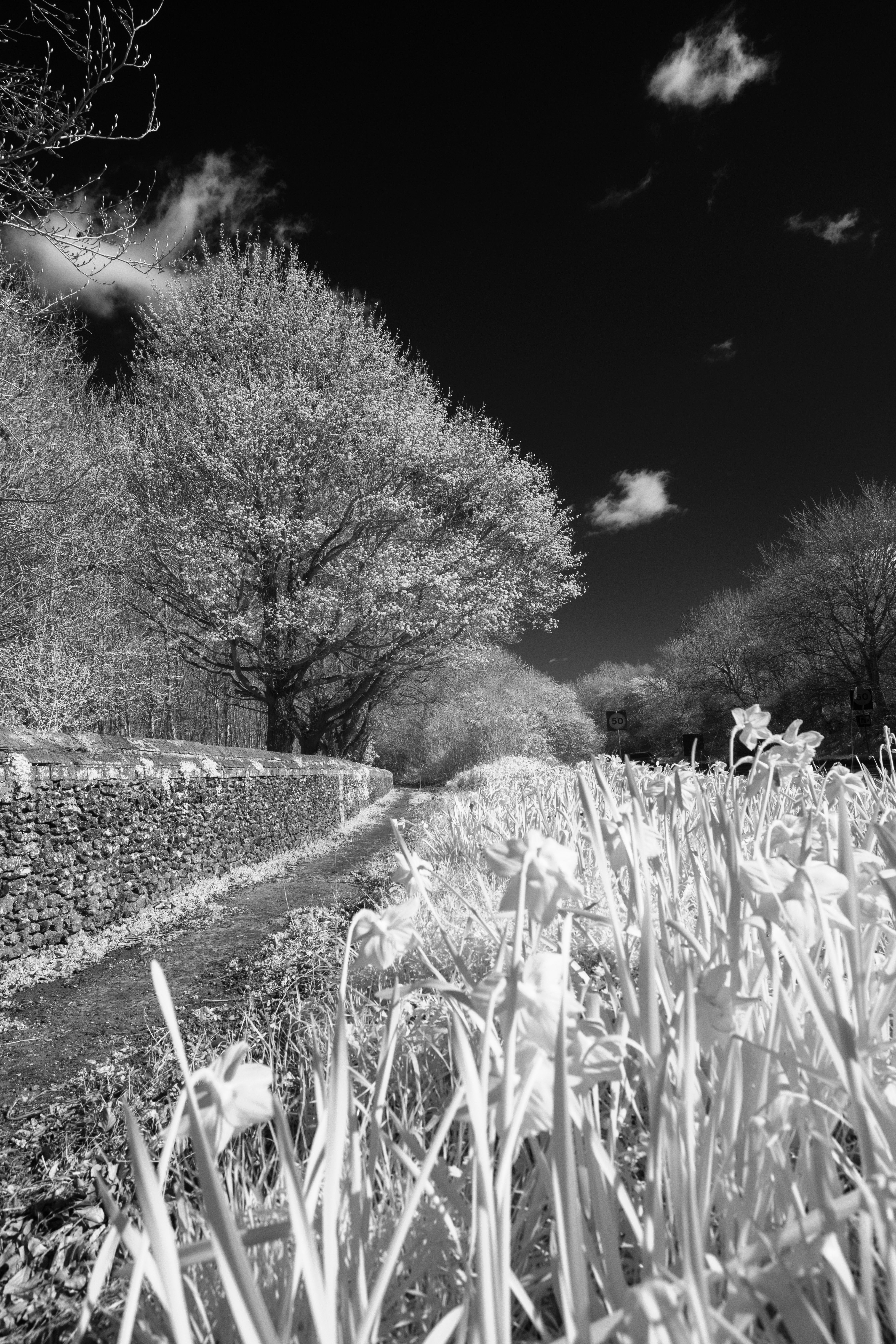 Cokin Nuances Infrared 720 89B