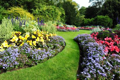 Asymmeetrical Garden Full of Colorful Flowers