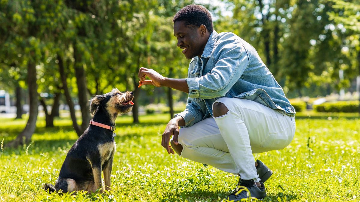 A smiling man kneels as he feeds his dog a treat in a sunny park