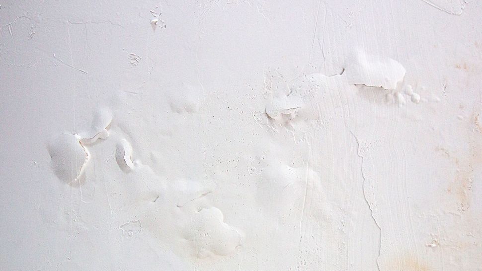 Why is paint bubbling? We have the answers and how to fix it Homebuilding