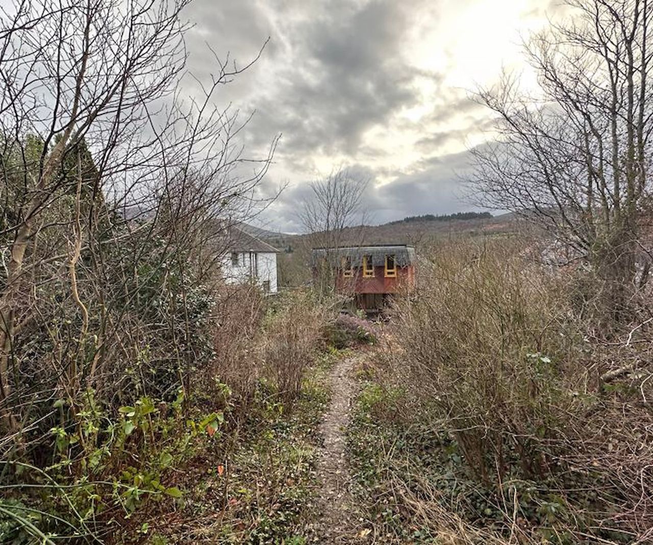 An overgrown garden at the back of a bungalow