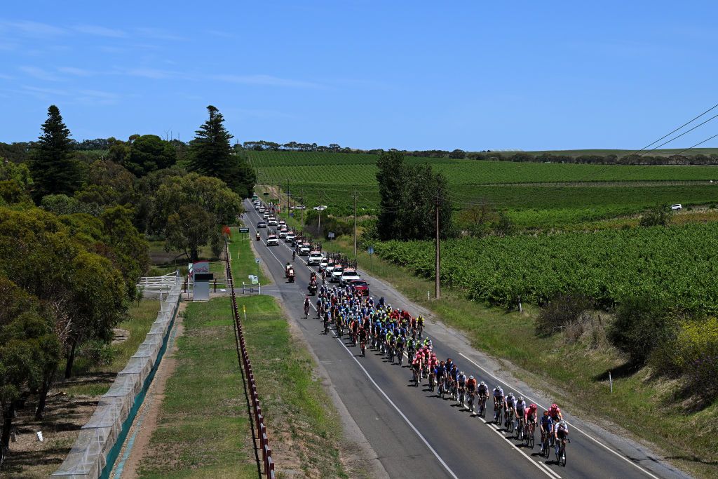 Field races on the flat roads on the way to Willunga