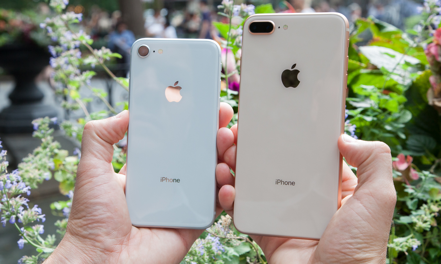 iPhone 8 and 8 Plus held side by side