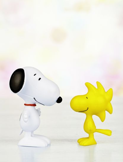 Snoopy and Woodstock.