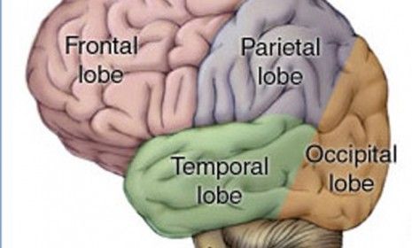 The human brain isn&amp;#039;t so great at making decisions based on facts.