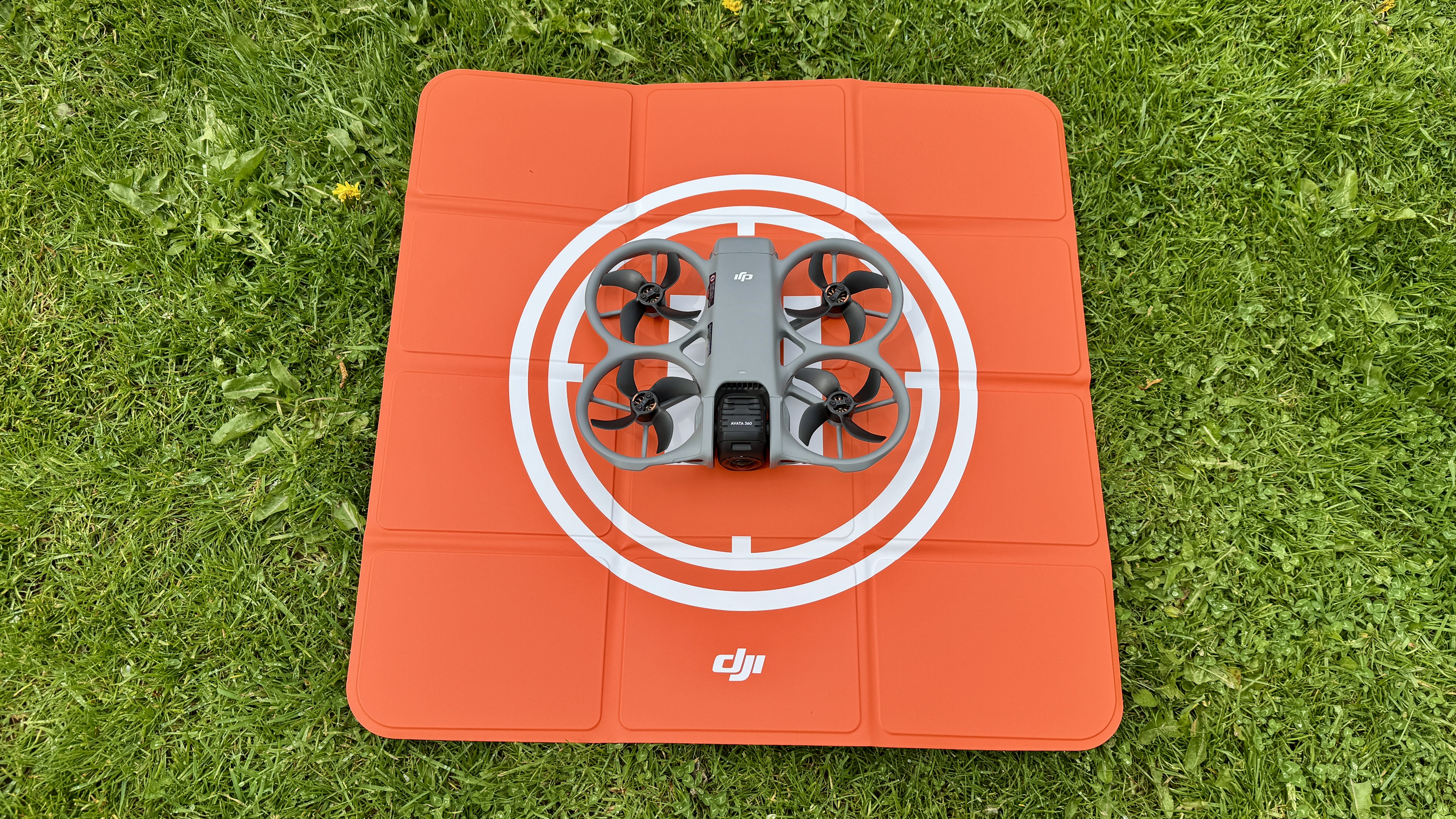 DJI Avata 360 flying in my garden