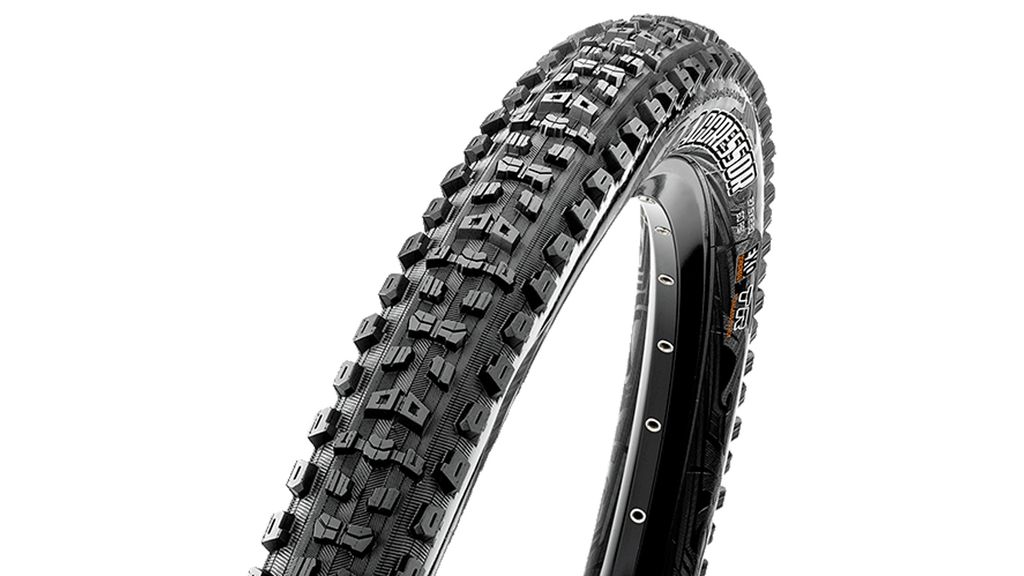 Maxxis MTB tire guide 2024 a deep dive into every Maxxis mountain