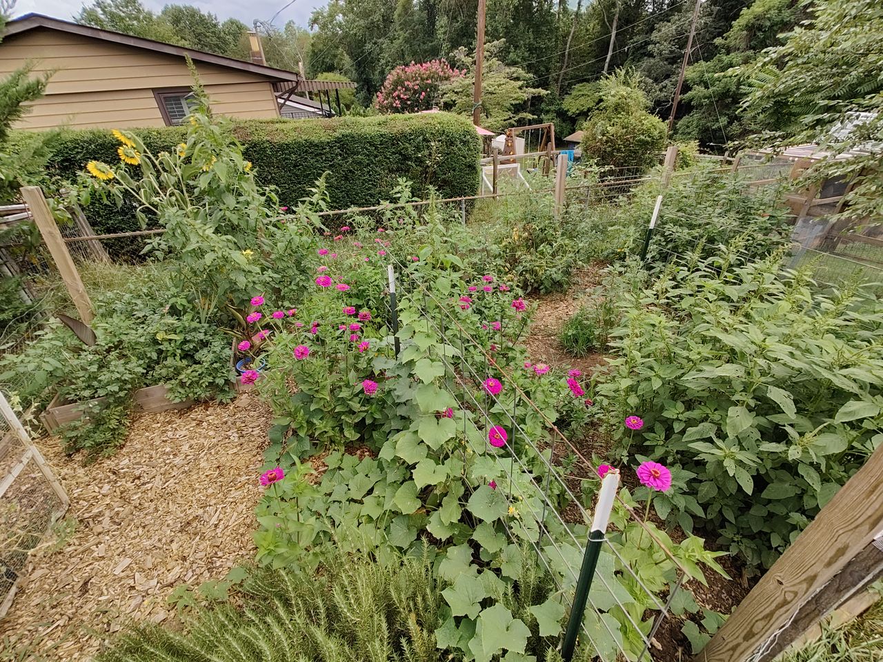 OnePlus 10 Pro camera samples to compare to the OnePlus 10T
