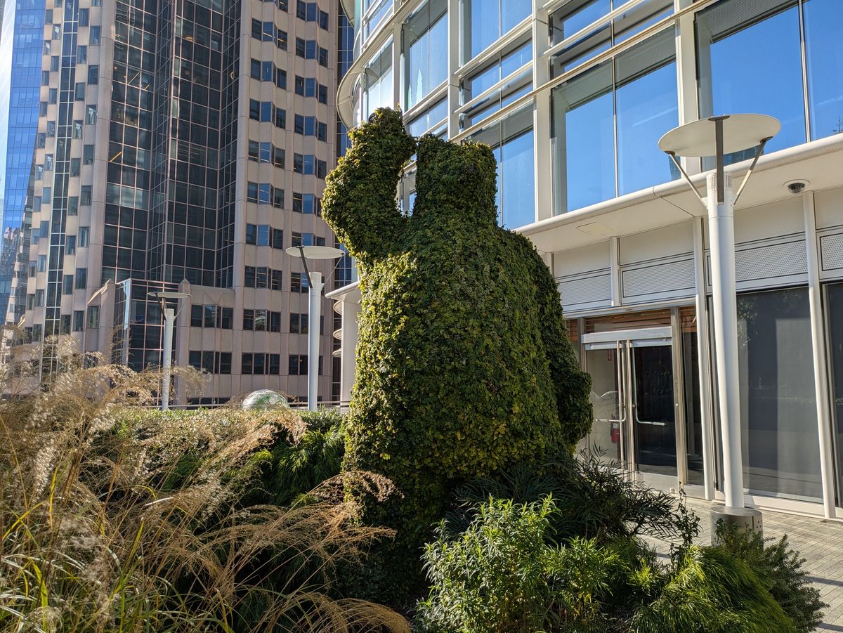 Animal shrubbery shot by Pixel 8a