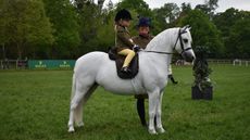 Royal Windsor Pretty Polly M&M