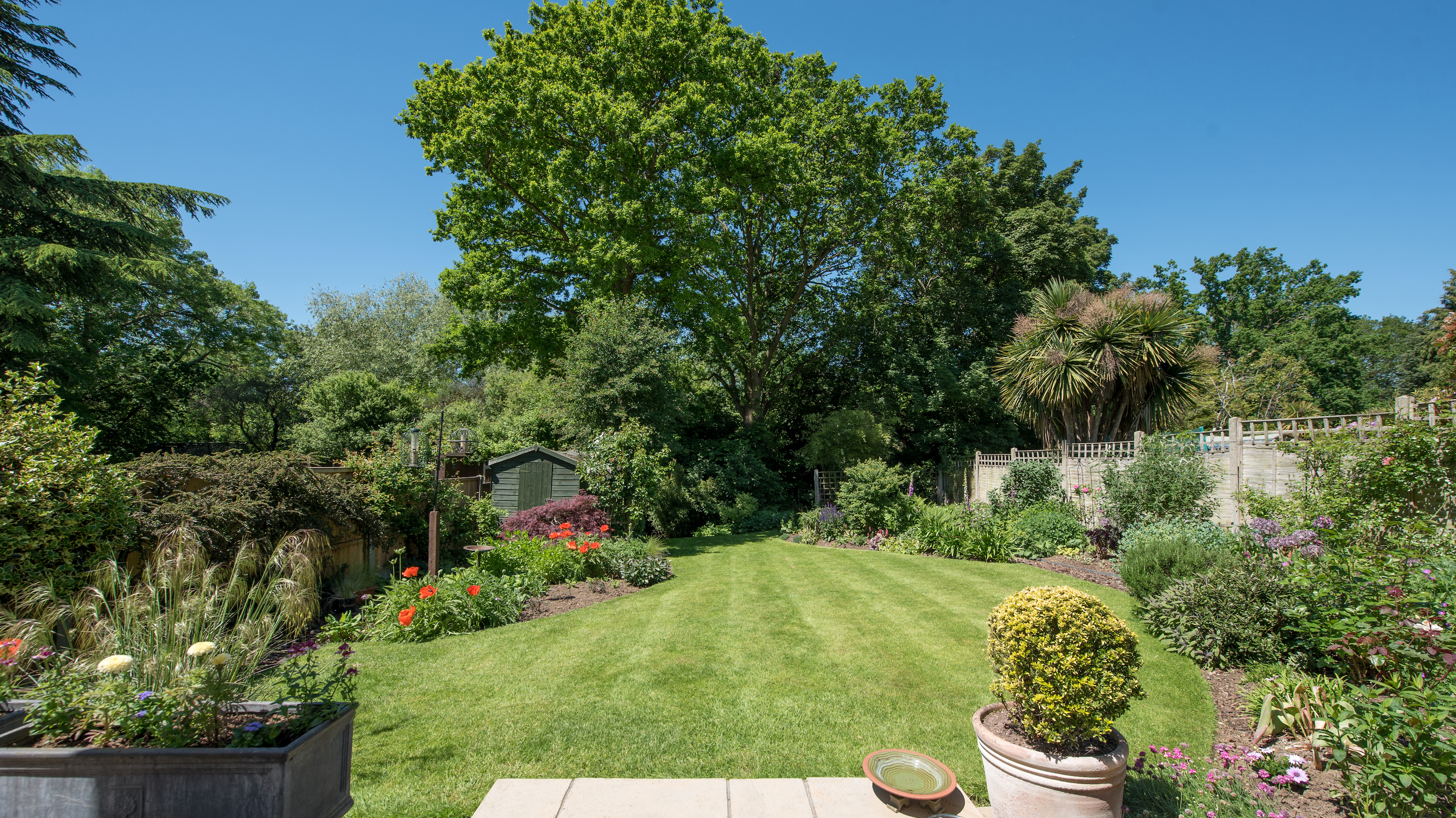 View down garden with lawn and borders and large trees beyond
