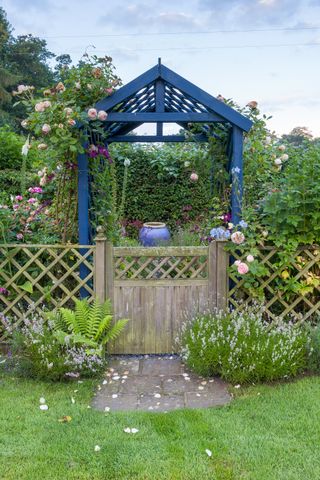 Trellis garden gate and fencing, with pergola and climbing roses and vines
