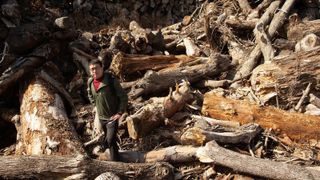 Professor Ning Zeng pauses in a tangled pile of dead trees at Camp Small, a Baltimore municipal collection point for waste wood.