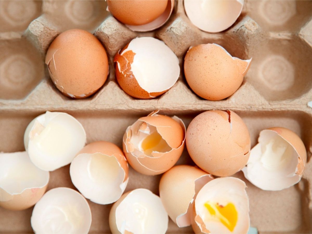 Should You Be Baking Eggshells For Compost? Gardening Know How